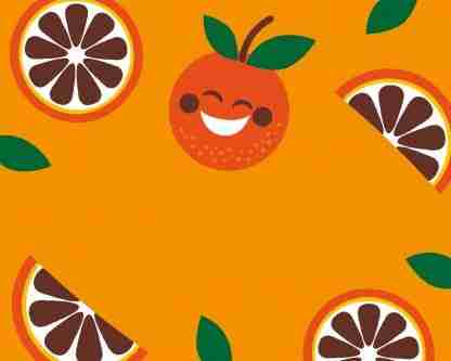 Slab Artisan Fudge - Choc Orange Flavour Graphic 2